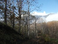 nte Fontane-201011107 017